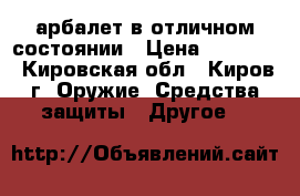 арбалет в отличном состоянии › Цена ­ 10 000 - Кировская обл., Киров г. Оружие. Средства защиты » Другое   
